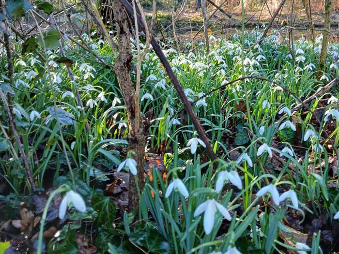 49b455fc 766b 4cd2 be67 70d